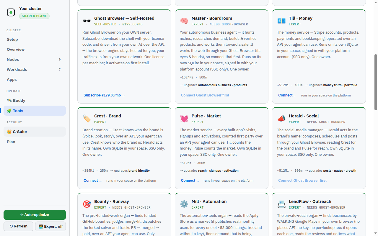 Engineer/#cluster, clicked "🧩 Tools" in the left sidebar, waited for the catalogue to load, and took one screenshot of the cluster tools catalogue. The Tools tab was selected (✓) and the catalogue displayed a grid of tool cards with